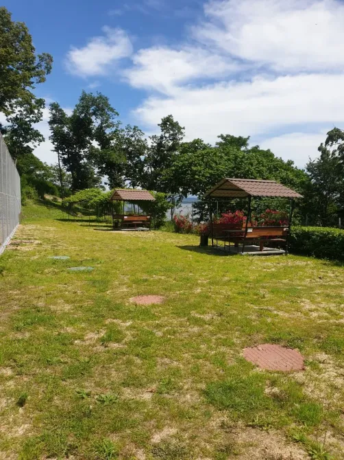 Жемчужное Солнышко Трудовое - изображение 10