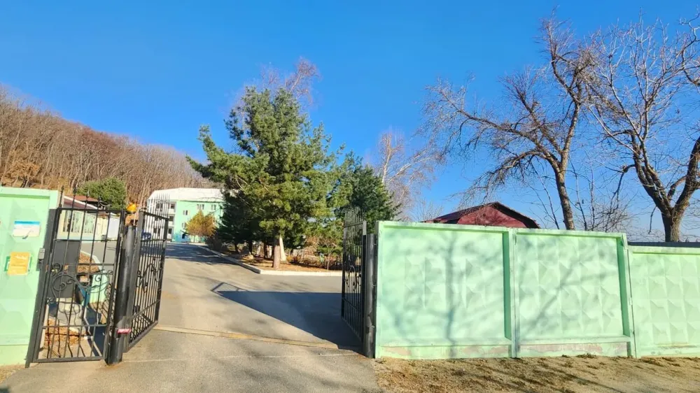 Жемчужное Солнышко Трудовое - изображение 13