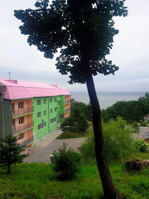 Жемчужное Солнышко Трудовое - изображение 7