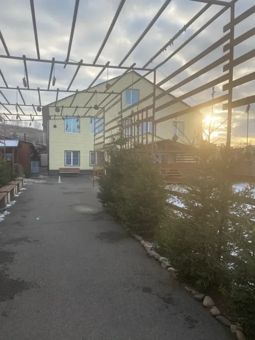 Калина Красная Емельяново - изображение 9