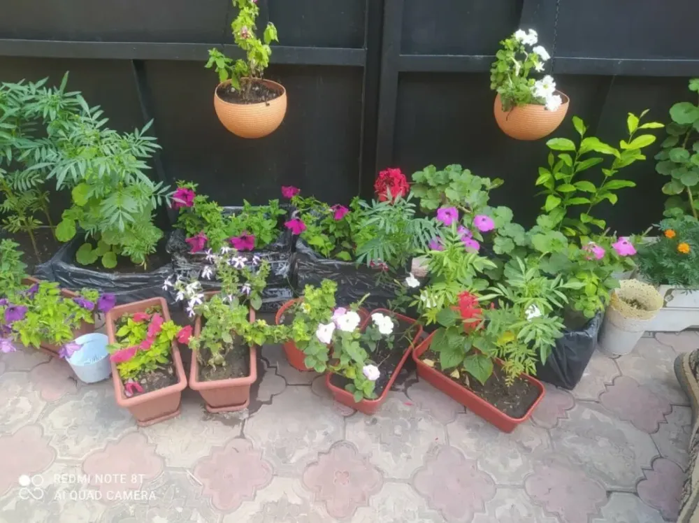 Райский Уют Красноярск - изображение 6