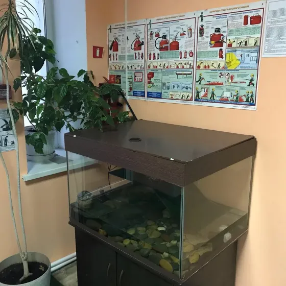 Пансионат Светлый Красноярск