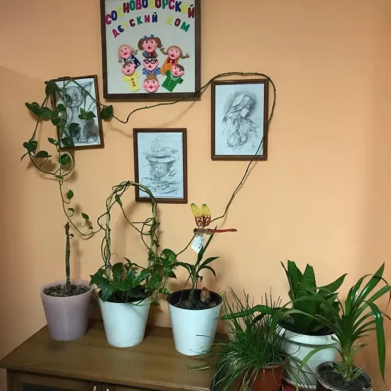 Пансионат Светлый Красноярск