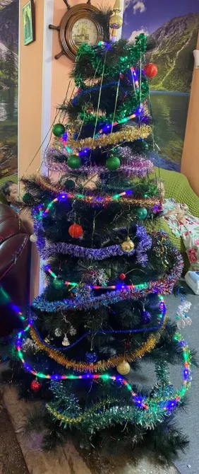 Пансионат Светлый Красноярск - изображение 8