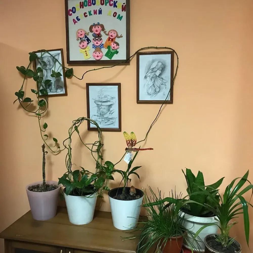 Пансионат Светлый Красноярск - изображение 3