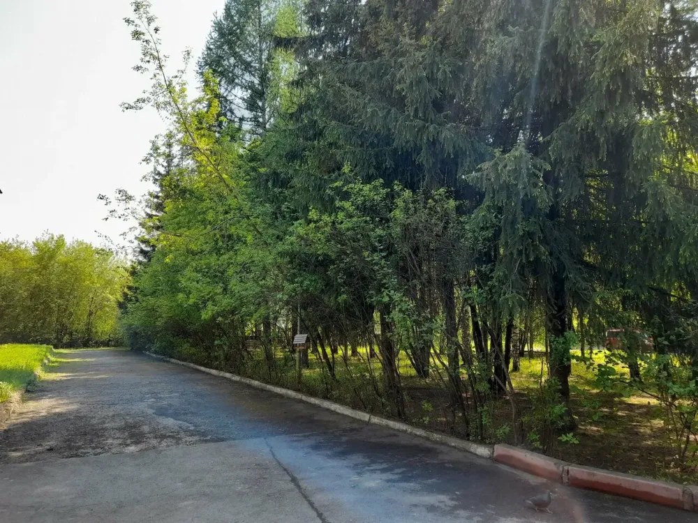 ДО 100 лет Кемерово - изображение 11