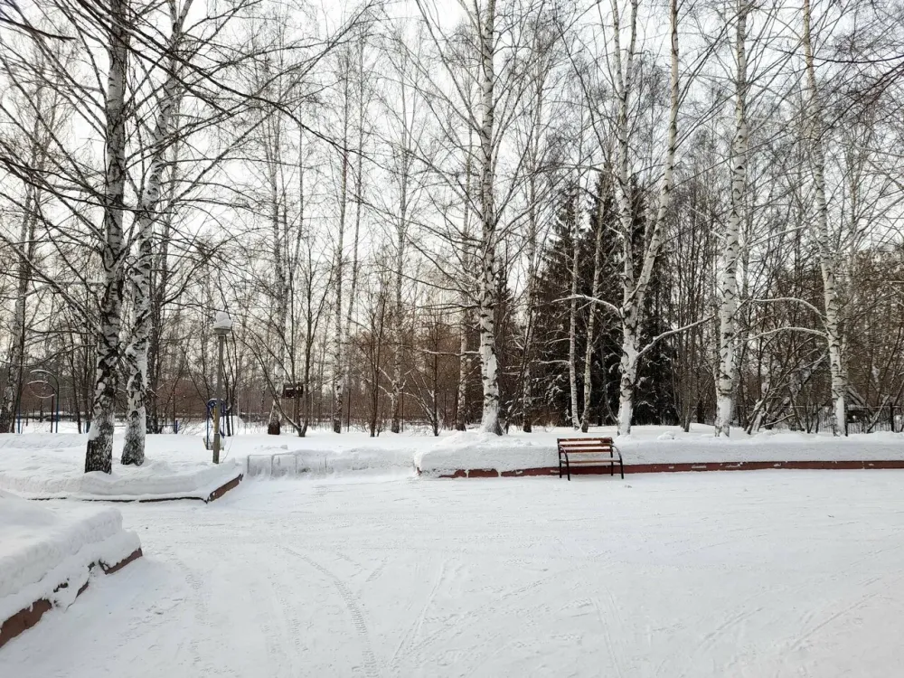 ДО 100 лет Кемерово - изображение 12