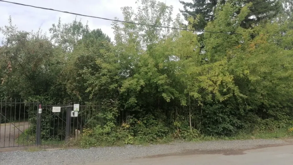 Доброе сердце Кемерово - изображение 9