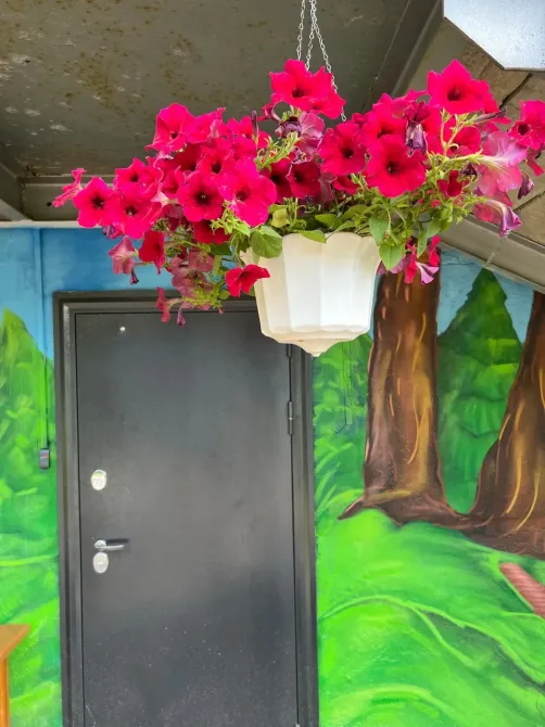 Олимп Осинники - изображение 16