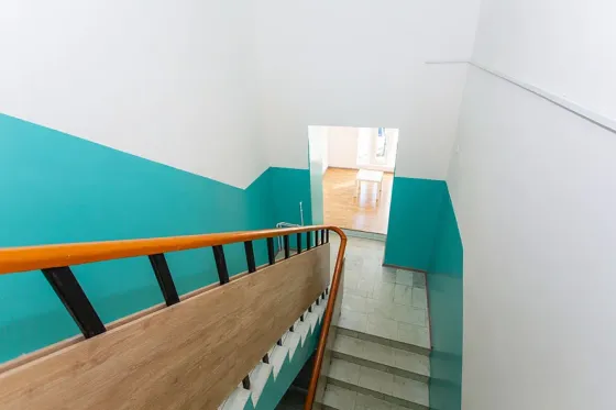 Новая жизнь Новосибирск