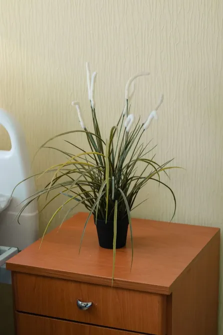 Территория Добра Новосибирск - изображение 10