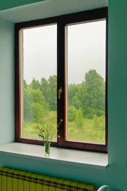 Пансионат Кедровый Новосибирск - изображение 9