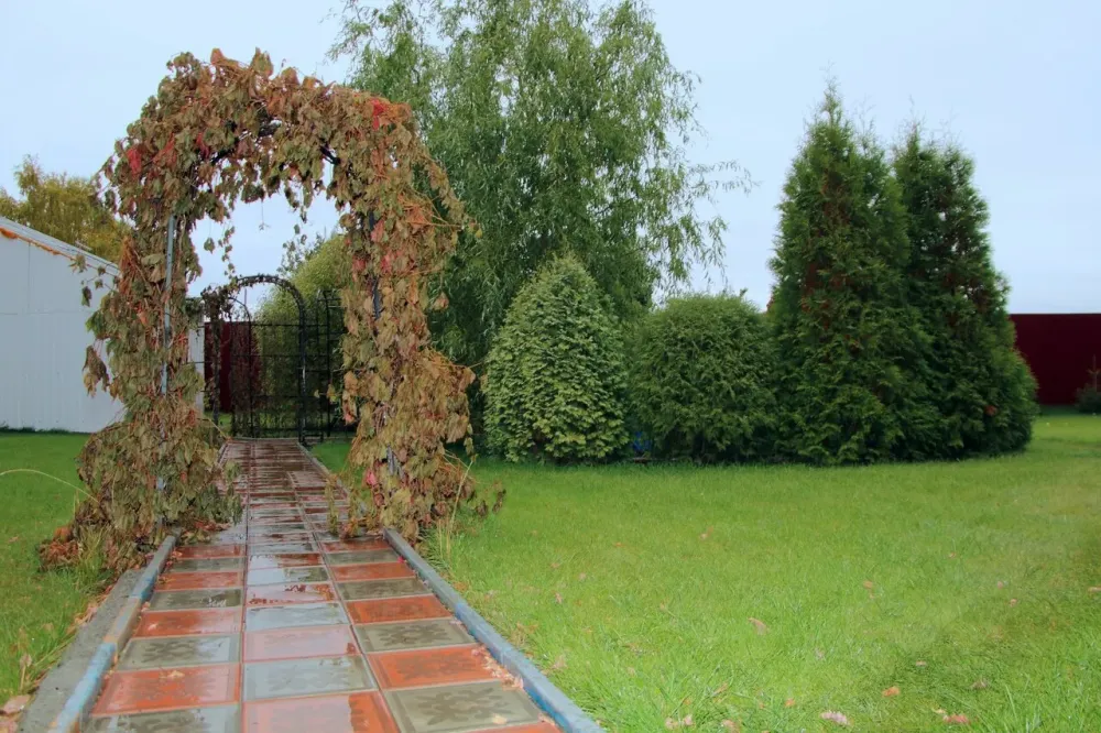 Пансионат для престарелых и инвалидов Добрый дом Копейск - изображение 17