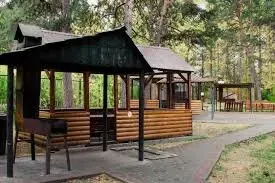 Пансионат Времена года Челябинск - изображение 16