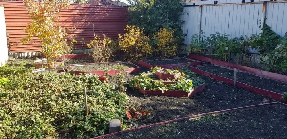 Пансионат Времена года Челябинск - изображение 2