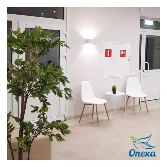 Опека Челябинск