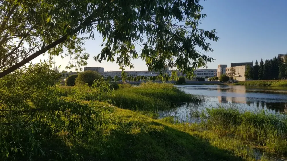 Опека Челябинск - изображение 1