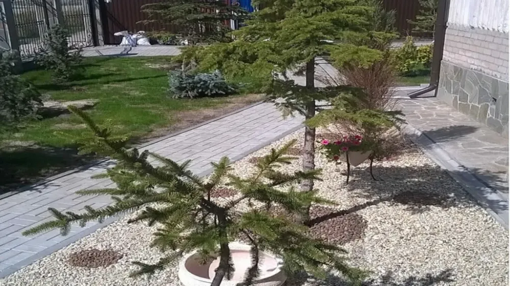 Резиденция Платоновна Солнечный - изображение 6