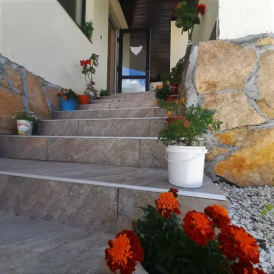 Феникс Екатеринбург