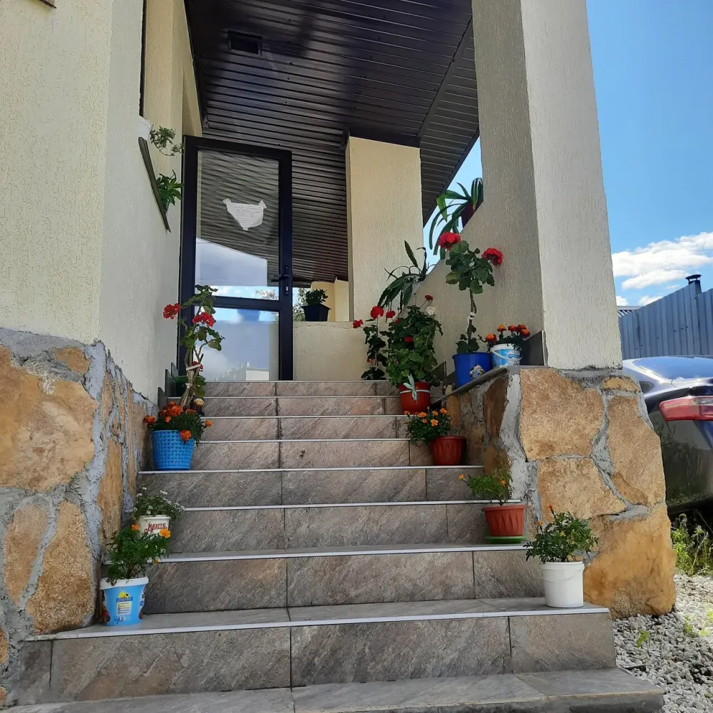 Феникс Екатеринбург - изображение 4