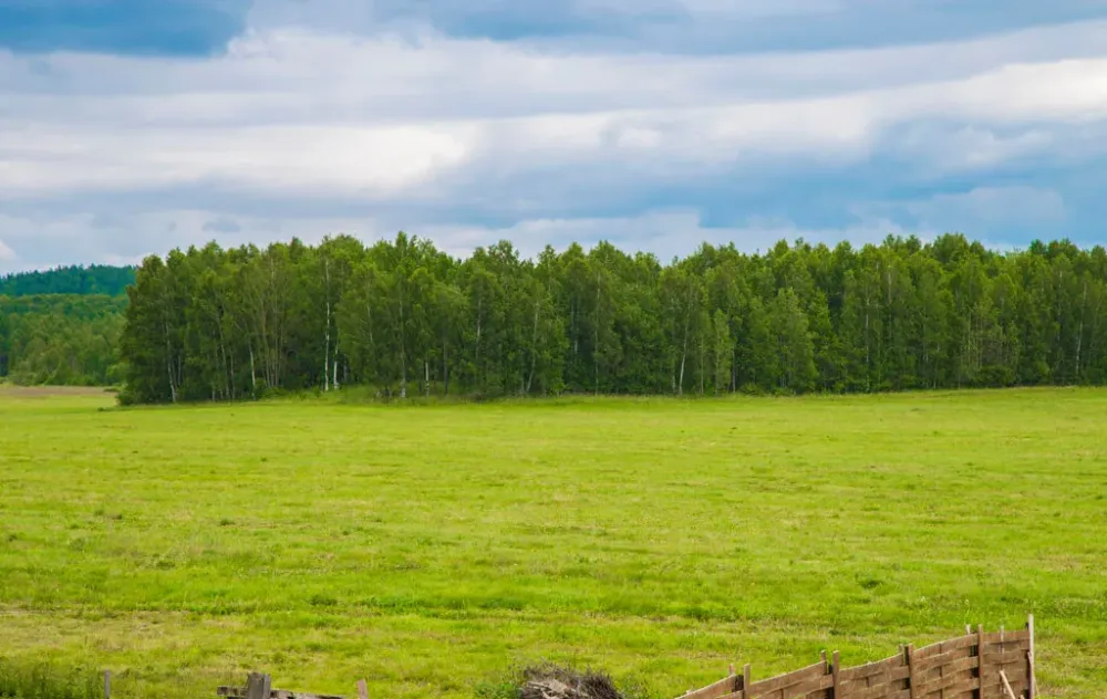 Пансионат Уральские просторы Первоуральск - изображение 9