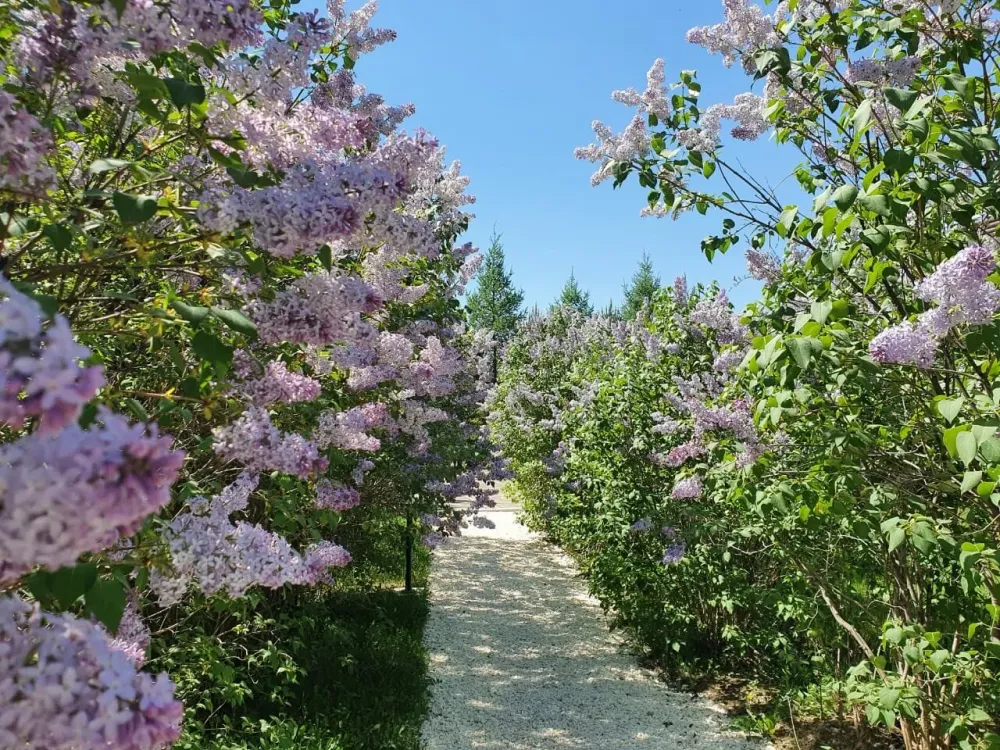 Пансионат Вигор Полевской - изображение 16