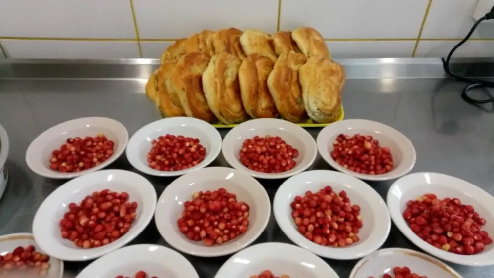 Созерцание 2011 Совхозный - изображение 8