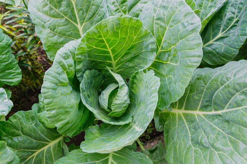 Пансионат Осень Жизни Первоуральск - изображение 8