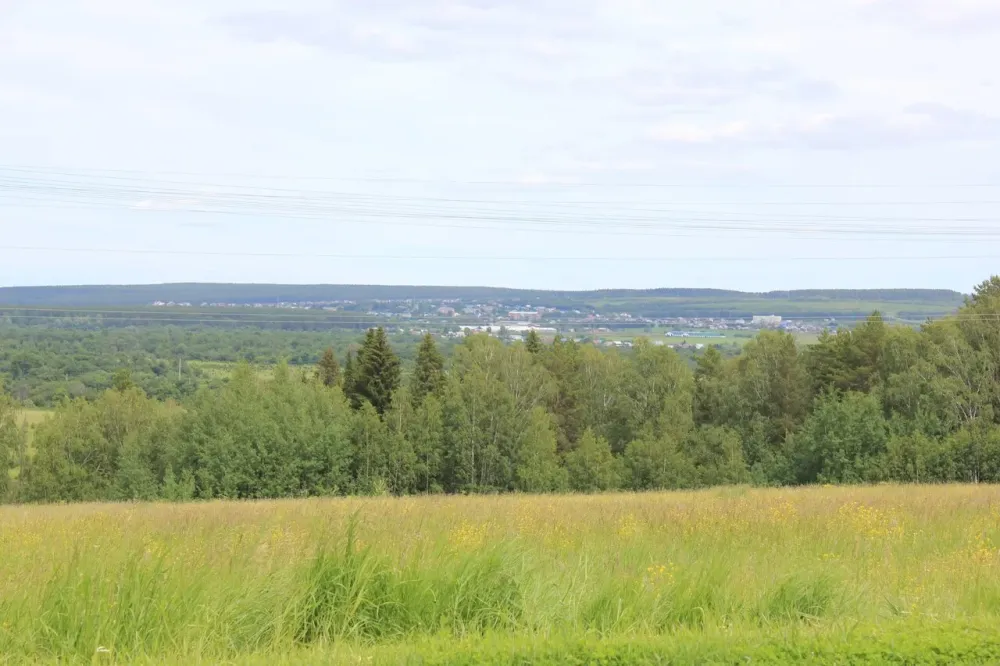 Наша Забота Красноуфимск - изображение 11