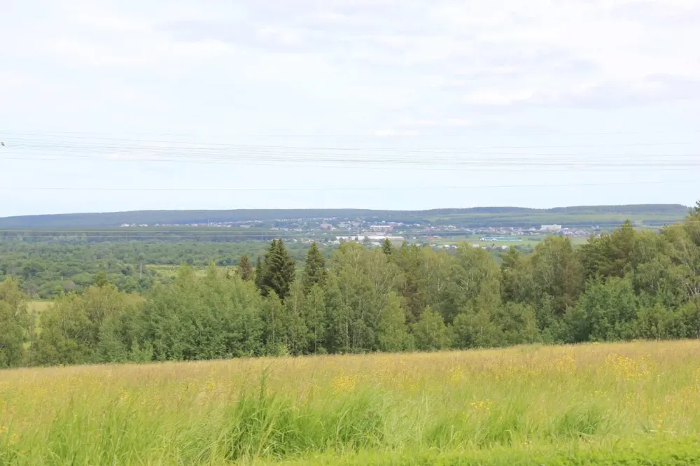 Наша Забота Красноуфимск - изображение 13