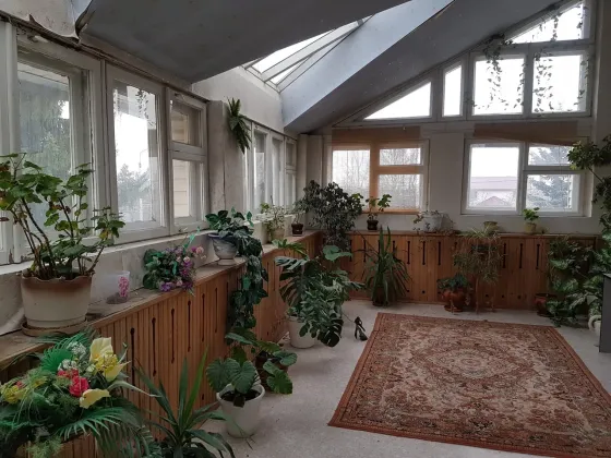 Берёзки Челябинск