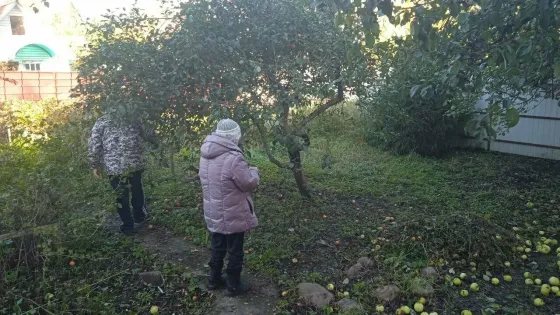 Мудрость и Милосердие Санкт-Петербург