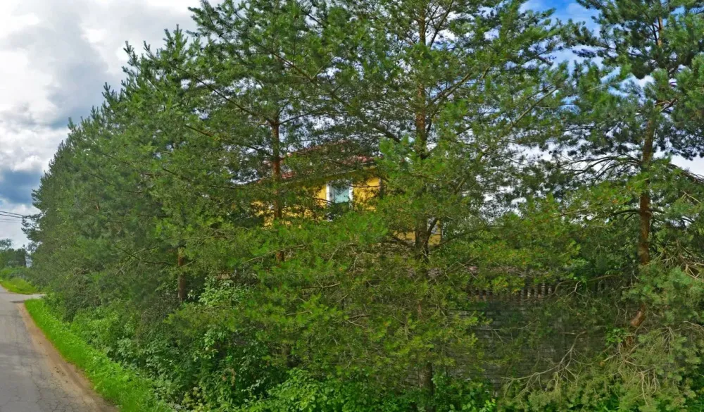 Мудрость и Милосердие Санкт-Петербург - изображение 14