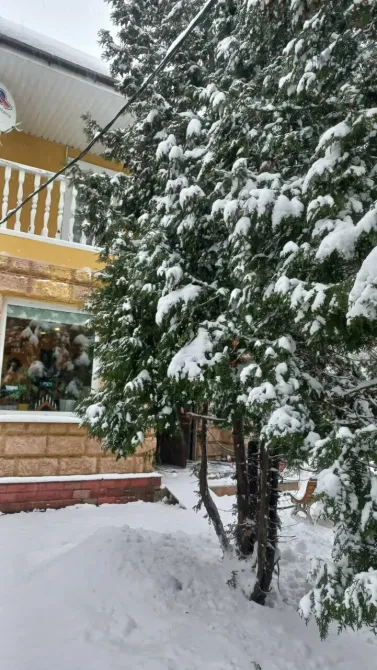 Мудрость и Милосердие Санкт-Петербург - изображение 19