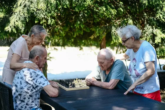 Добро Ставрополь