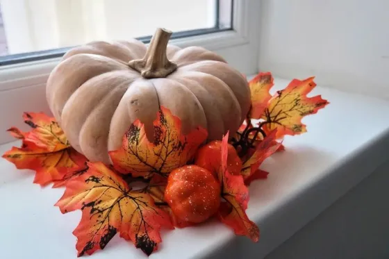 Частный дом престарелых Дневники памяти Краснодар