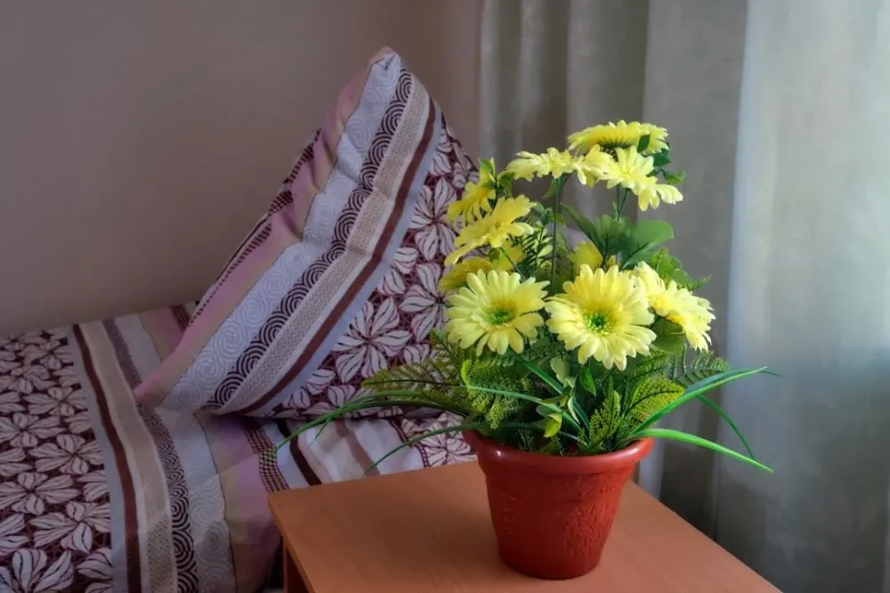 Частный дом престарелых Дневники памяти Краснодар - изображение 11