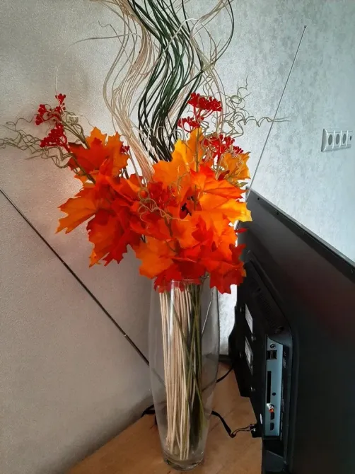 Частный дом престарелых Дневники памяти Краснодар - изображение 14