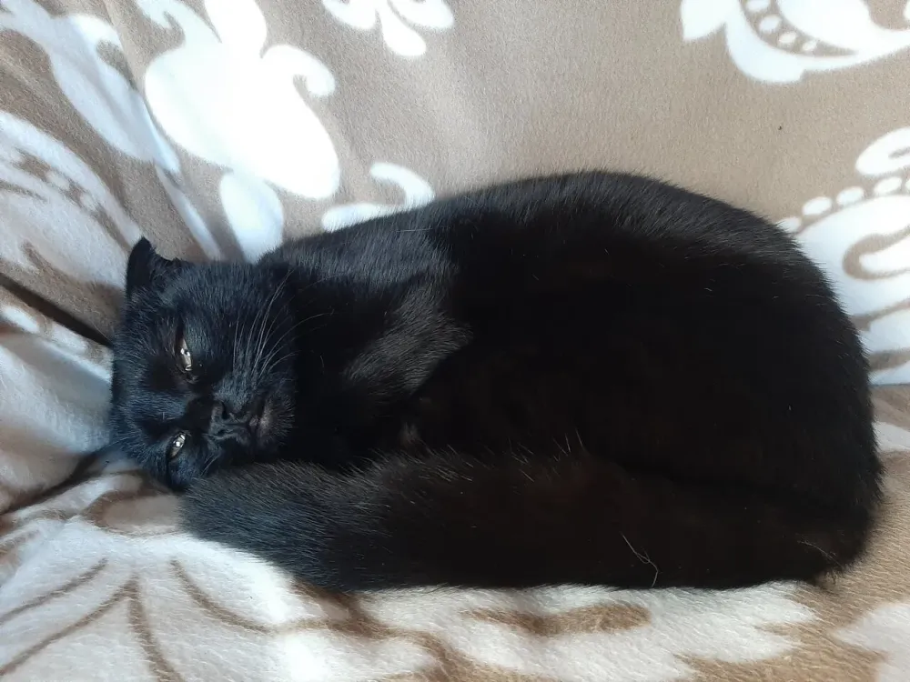 Частный дом престарелых Дневники памяти Краснодар - изображение 18