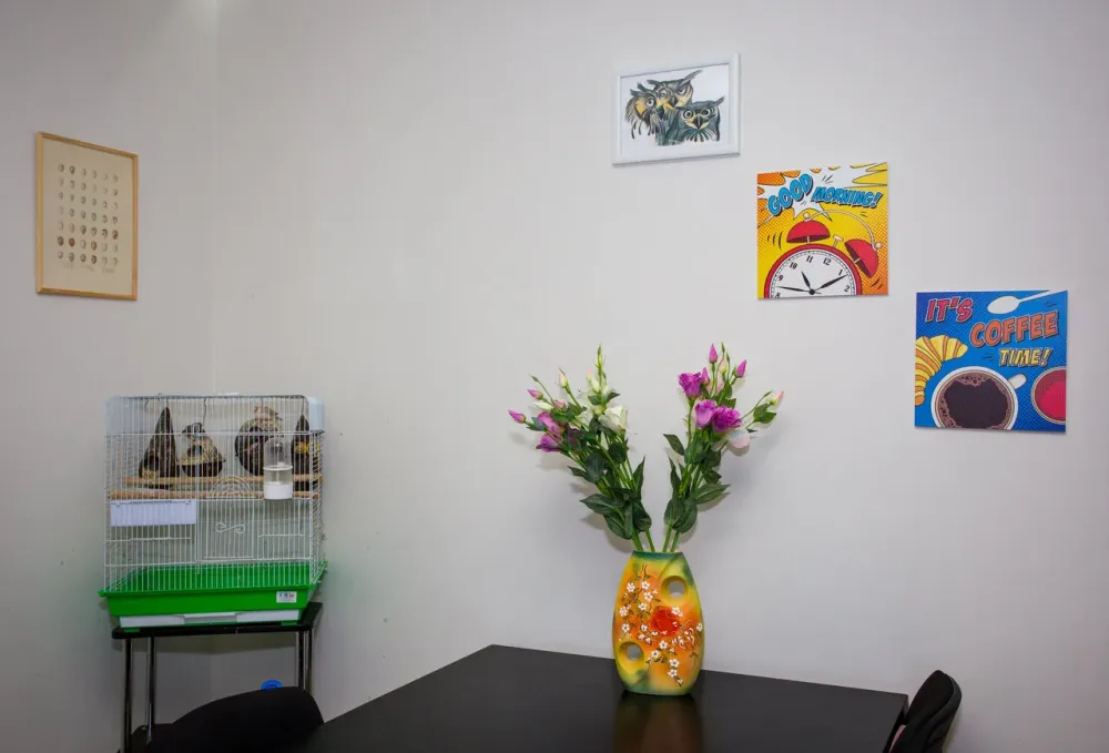 Доверие Краснодар - изображение 19