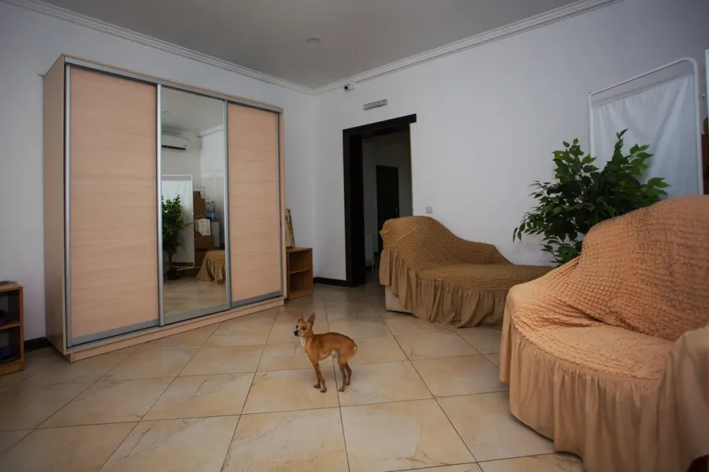 Доверие Краснодар - изображение 10