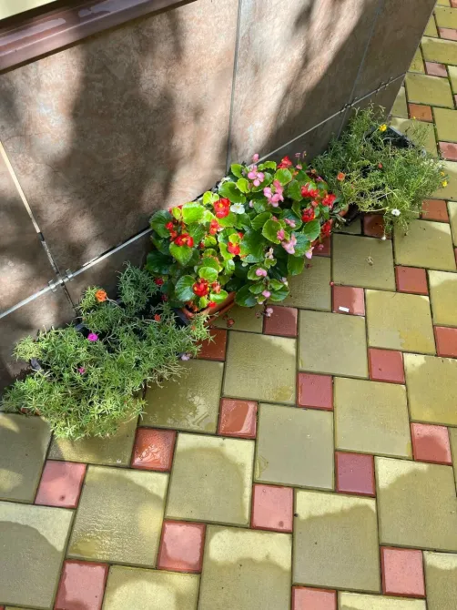 Как дома Краснодар - изображение 18