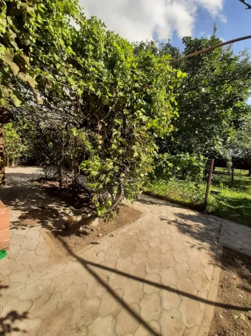 Доверие Краснодар - изображение 17