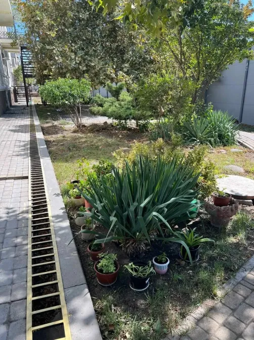 Исток Новороссийск - изображение 16