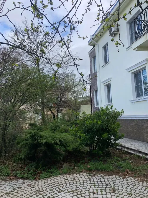 Исток Новороссийск - изображение 9