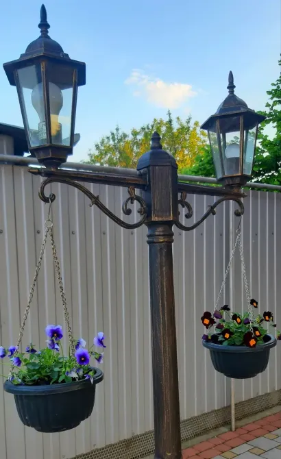 Золотые Годы Краснодар - изображение 14