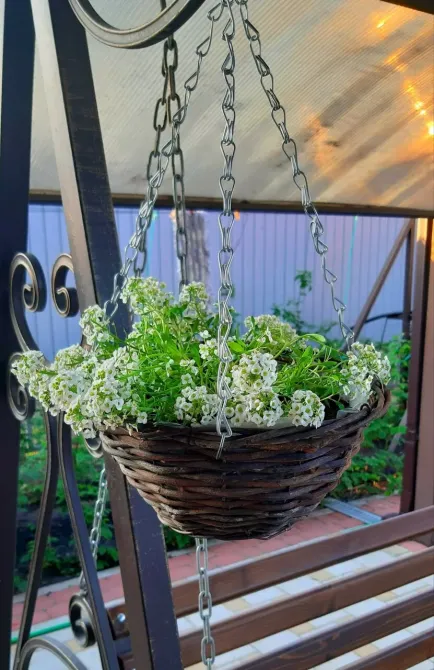 Золотые Годы Краснодар - изображение 15