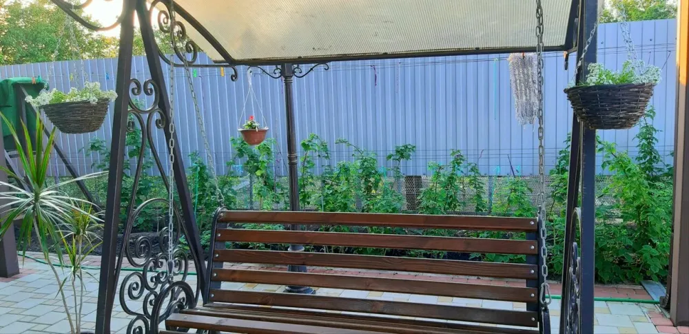 Золотые Годы Краснодар - изображение 16