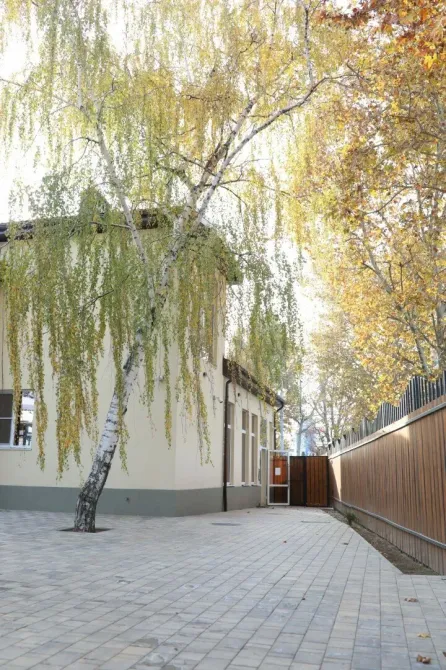 Старейшина Краснодар - изображение 19