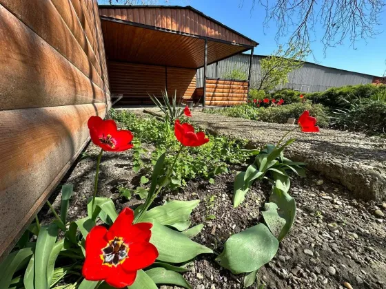 Пансионат Вершина Краснодар